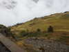 20210921142450-DSCN0188.JPG