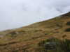 20210921142551-DSCN0192.JPG