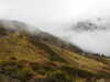 20210921142618-DSCN0194.JPG