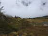 20210921142810-DSCN0202.JPG