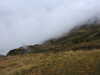 20210921142906-DSCN0206.JPG