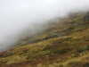 20210921142928-DSCN0207.JPG
