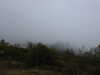 20210921143011-DSCN0208.JPG