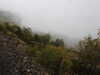 20210921143020-DSCN0209.JPG