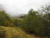 20210921143039-DSCN0210.JPG