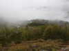 20210921143050-DSCN0211.JPG