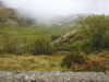20210921143109-DSCN0215.JPG