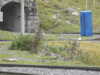 20210921143254-DSCN0223.JPG