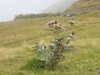 20210921143413-DSCN0230.JPG