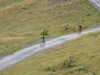 20210921144328-DSCN0248.JPG