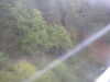 20210921145349-DSCN0261.JPG
