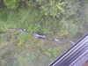 20210921145441-DSCN0263.JPG