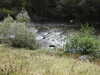 20210922130303-DSCN0296.JPG