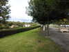 20210922162640-DSCN0305.JPG