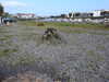 20210923105852-DSCN0317.JPG