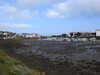 20210923105909-DSCN0318.JPG