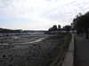 20210923110038-DSCN0320.JPG