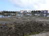 20210923110331-DSCN0323.JPG