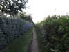 20210923194350-DSCN0361.JPG