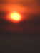 20210923195425-DSCN0376.JPG