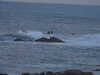 20210923195727-DSCN0382.JPG