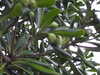 20210923200643-DSCN0408.JPG