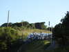 20210924094120-DSCN0416.JPG