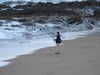 20210924094458-DSCN0426.JPG