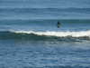 20210924095300-DSCN0442.JPG