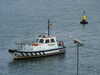 20210925144539-DSCN0485.JPG