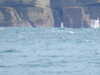 20210925152413-DSCN0542.JPG