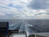 20210925155611-DSCN0561.JPG