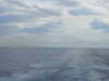 20210925155622-DSCN0563.JPG