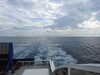 20210925161002-DSCN0568.JPG