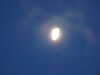 20210926063906-DSCN0594.JPG