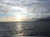 20210926180947-DSCN0655.JPG
