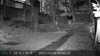 2021-10-06:invicta garden wildlife
