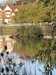 2021-10-11:Chislehurst pond
