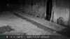 20211014185353-DSCF0648.JPG