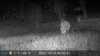 2021-10-16:Wildlife
