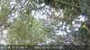 20210701153224-DSCF0452.JPG