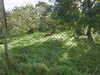 20211024105451-DSCN0747.JPG