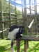 20211024105914-DSCN0752.JPG