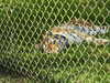 20211024110613-DSCN0764.JPG