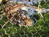 20211024110633-DSCN0765.JPG
