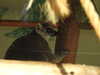 20211024111814-DSCN0781.JPG