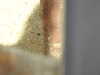 20211024111818-DSCN0782.JPG