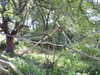 20211024112001-DSCN0788.JPG