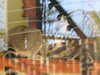 20211024112207-DSCN0793.JPG