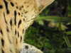 20211024113242-DSCN0814.JPG